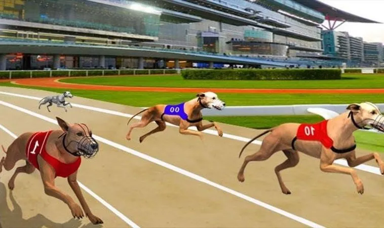 Hướng Dẫn Cách Chơi Game Nhanh Đua Chó Tại FB88 Chuẩn Xác Nhất 1 Đua Chó tại FB88