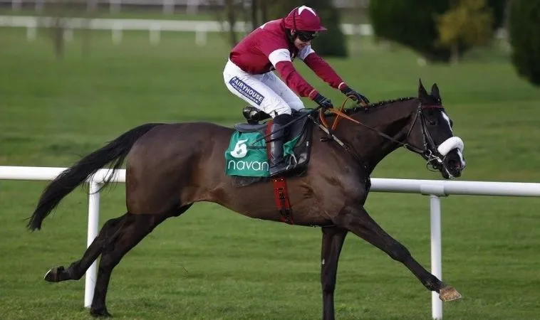 Cần tìm hiểu về ngựa chiến trước khi cá cược đua ngựa FB88